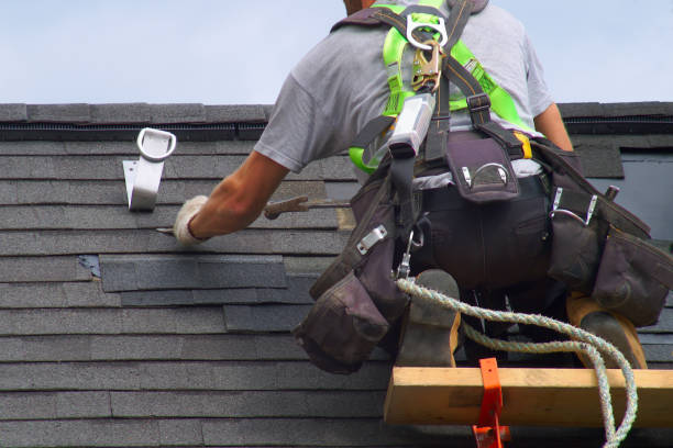 Best Roof Gutter Cleaning  in Clarkston, WA
